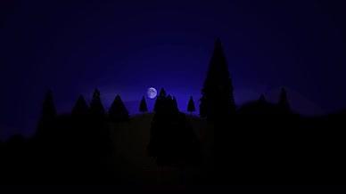夜晚树林视频视频的预览图